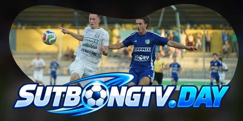 Phong độ Hungary vs Ukraine trước màn mở khóa bảng B2