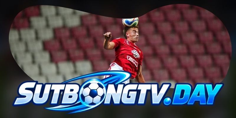 Dự Đoán Trận Hungary Vs Ukraine 01h45 26/09